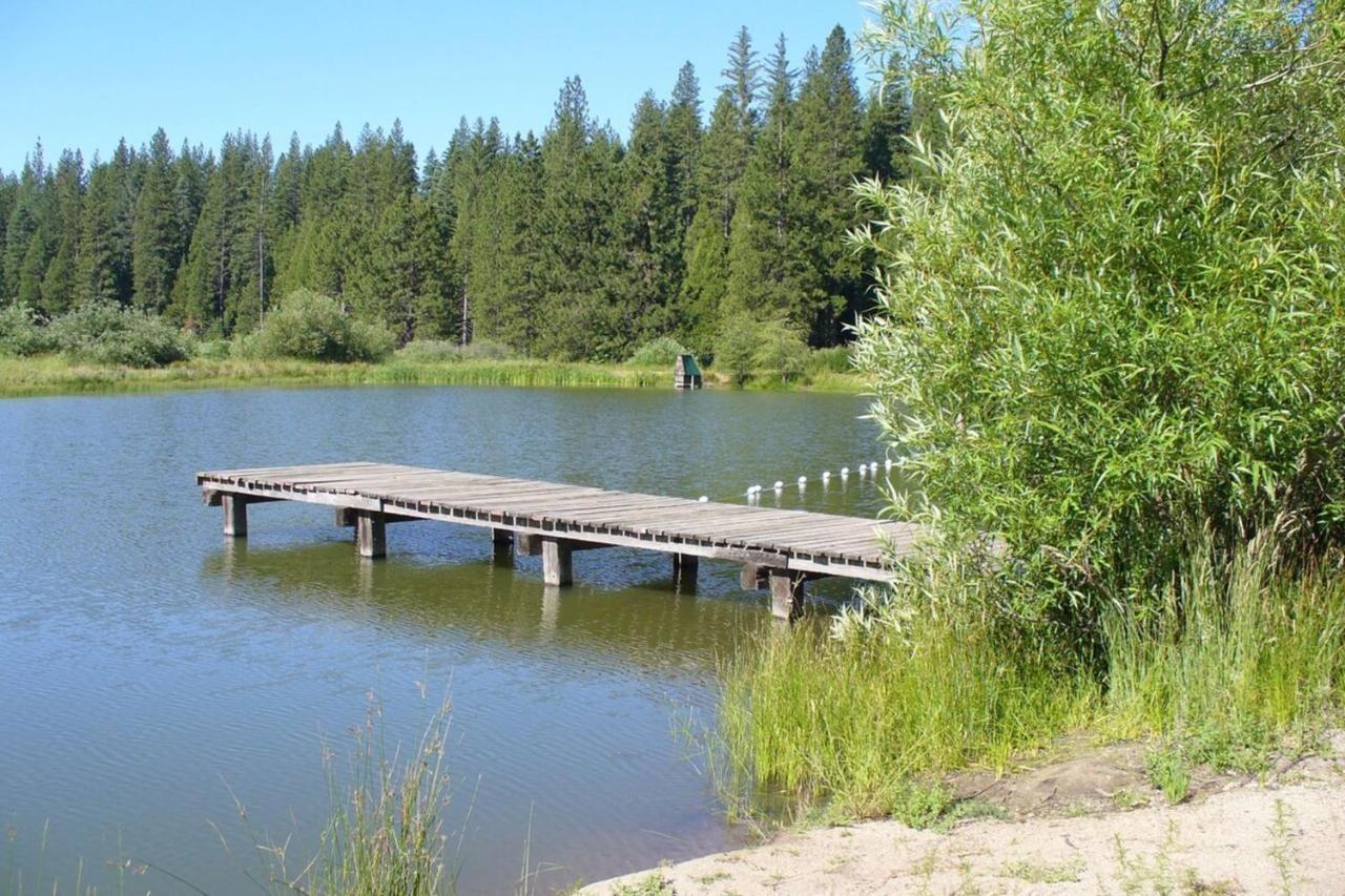 Вилла Beautiful Cabingated Parkpinecrest & Dodge Ridge Long Barn Экстерьер фото